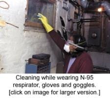 cleaningmold